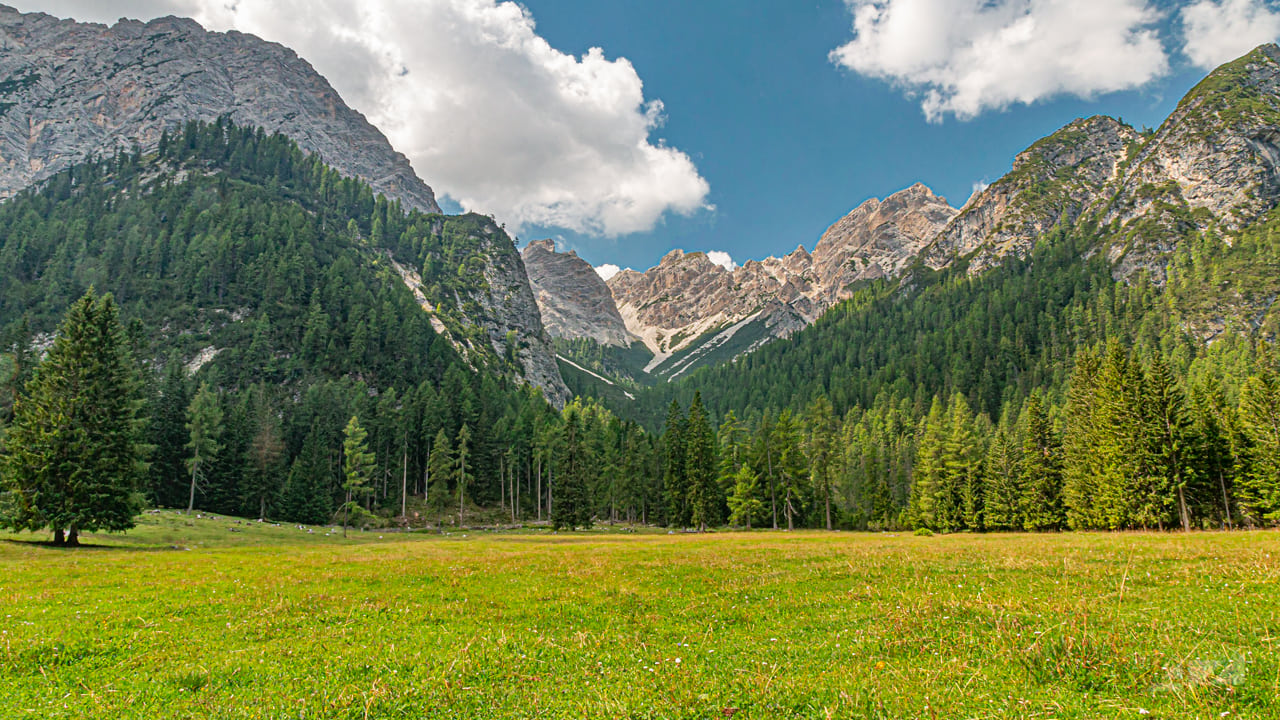 Malga Foresta, Italy