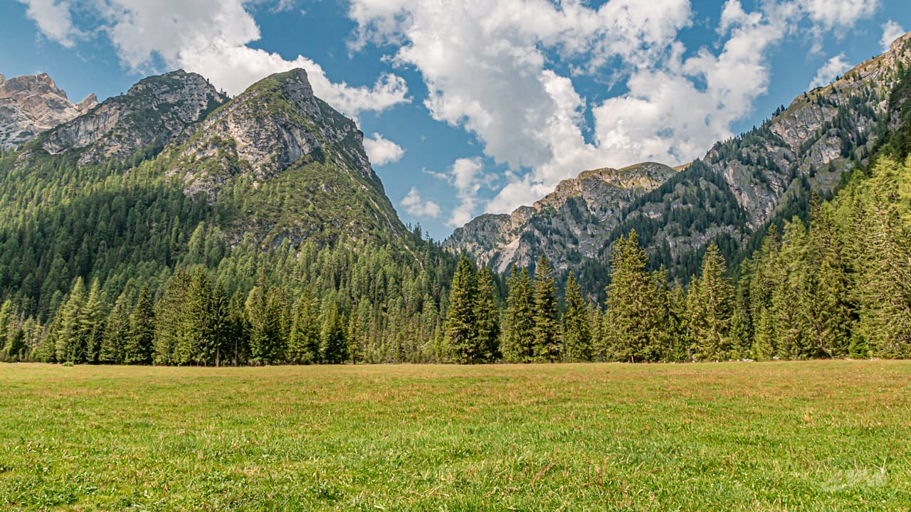 Malga Foresta, Italy