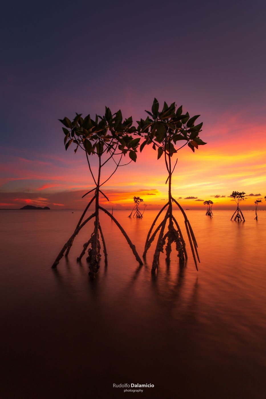 Mangrove Sunset, Thailand
