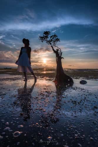 Mangrove Trees of Walakiri Beach