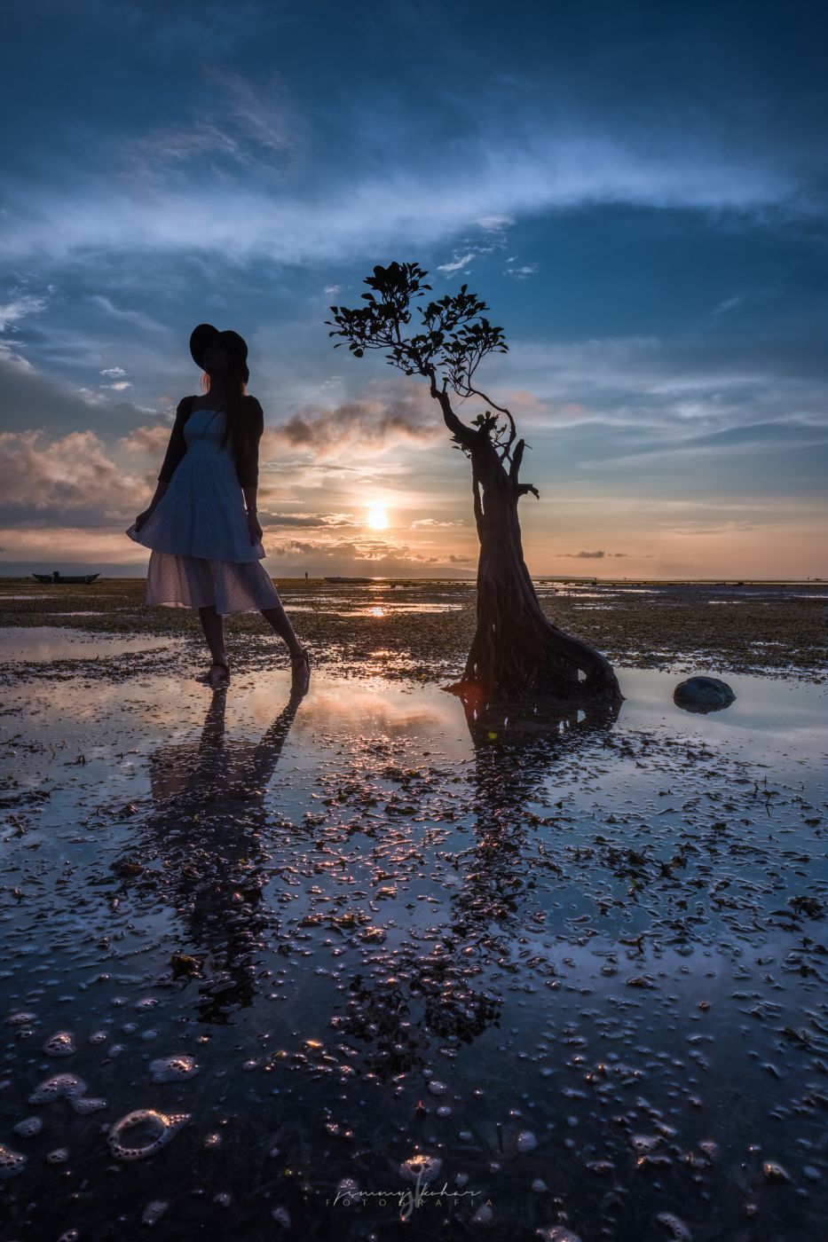Mangrove Trees of Walakiri Beach, Indonesia