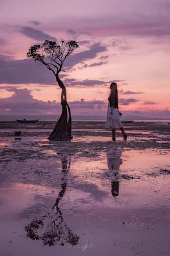 Mangrove Trees of Walakiri Beach