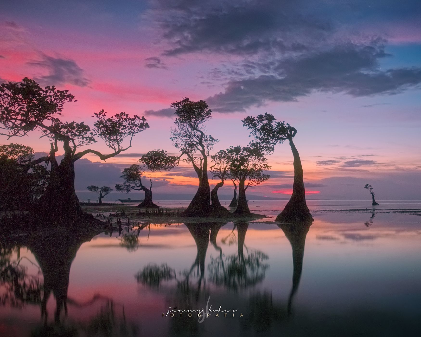 Mangrove Trees of Walakiri Beach, Indonesia