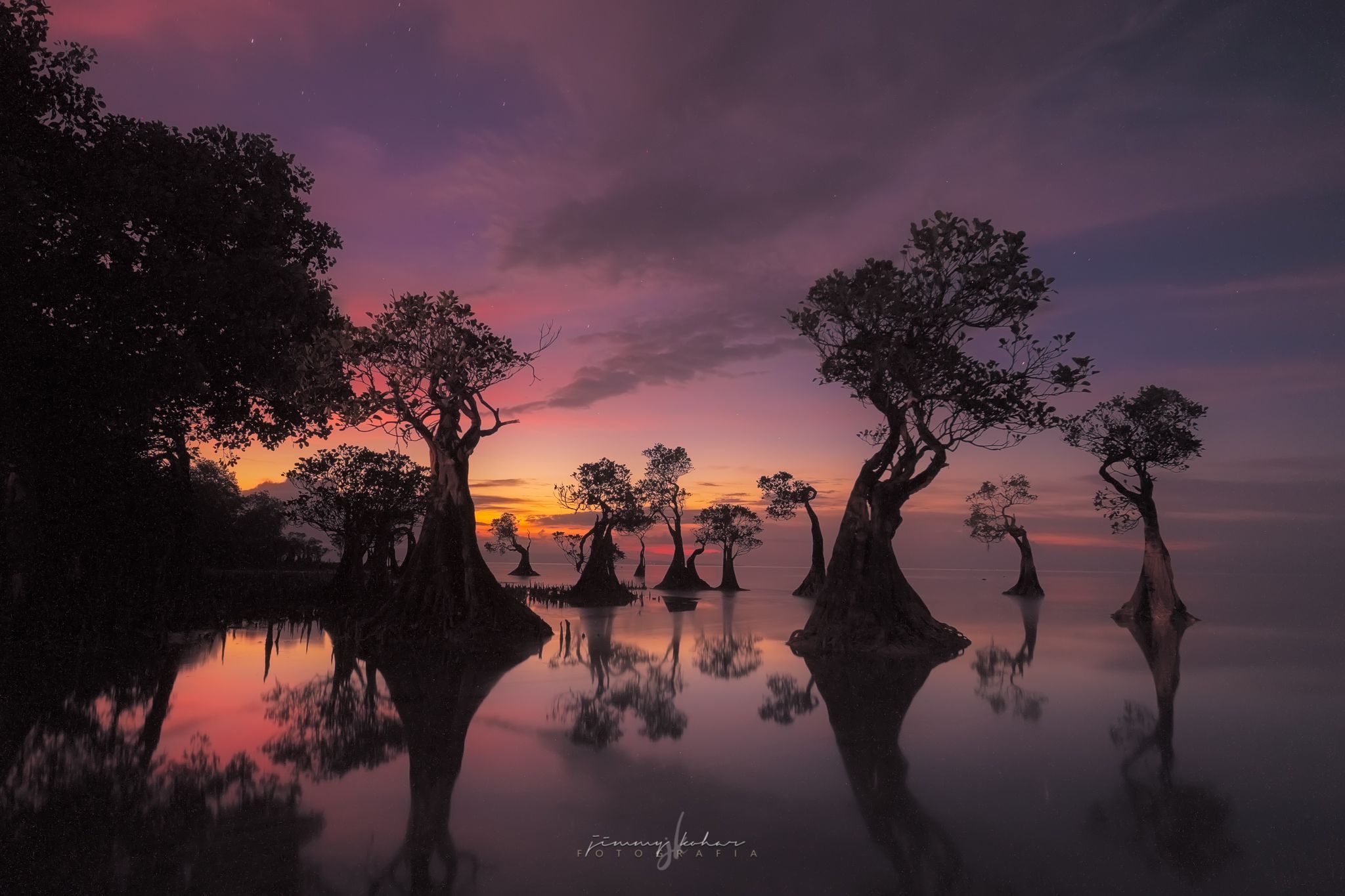 Mangrove Trees of Walakiri Beach, Indonesia