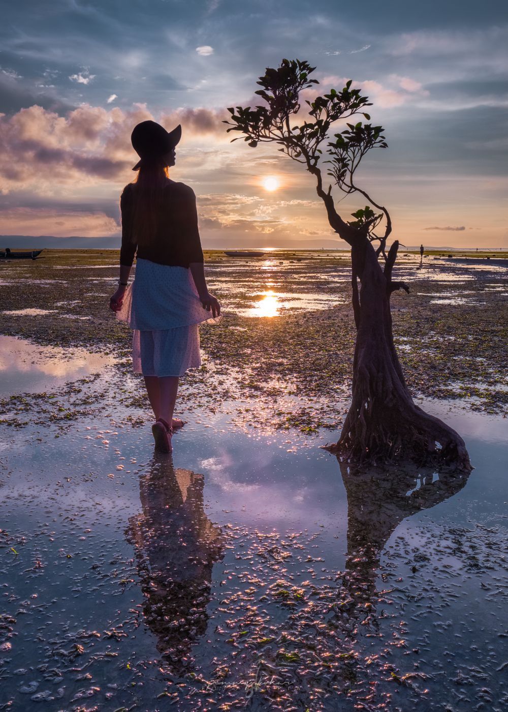 Mangrove Trees of Walakiri Beach, Indonesia