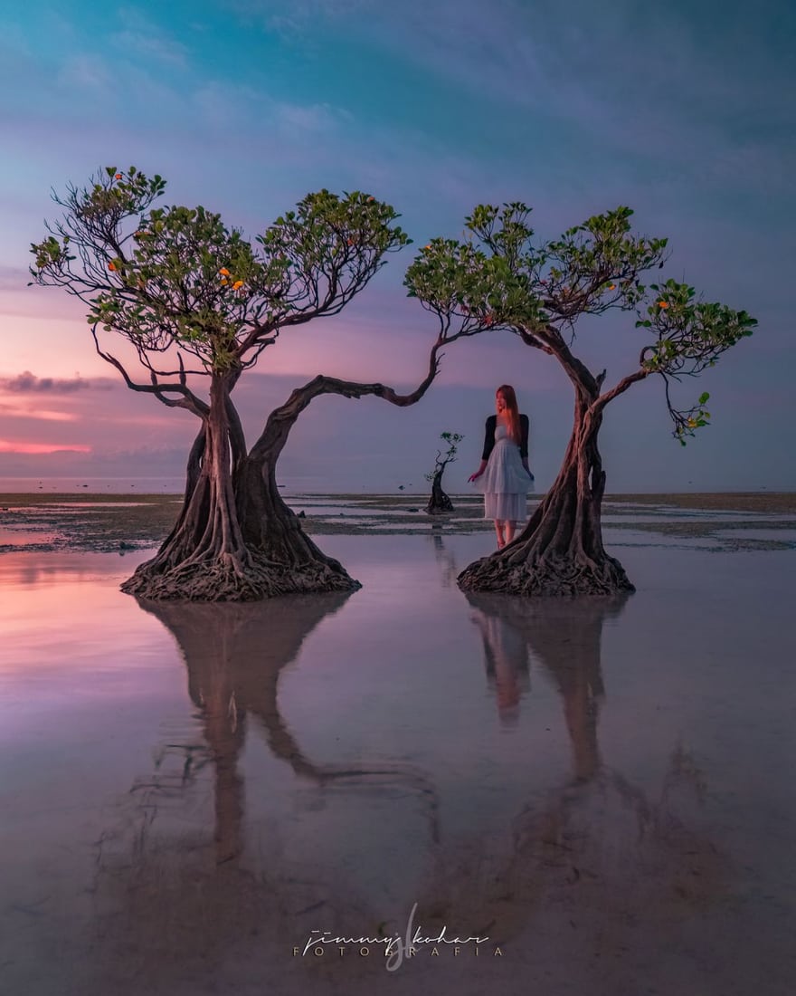 Mangrove Trees of Walakiri Beach, Indonesia