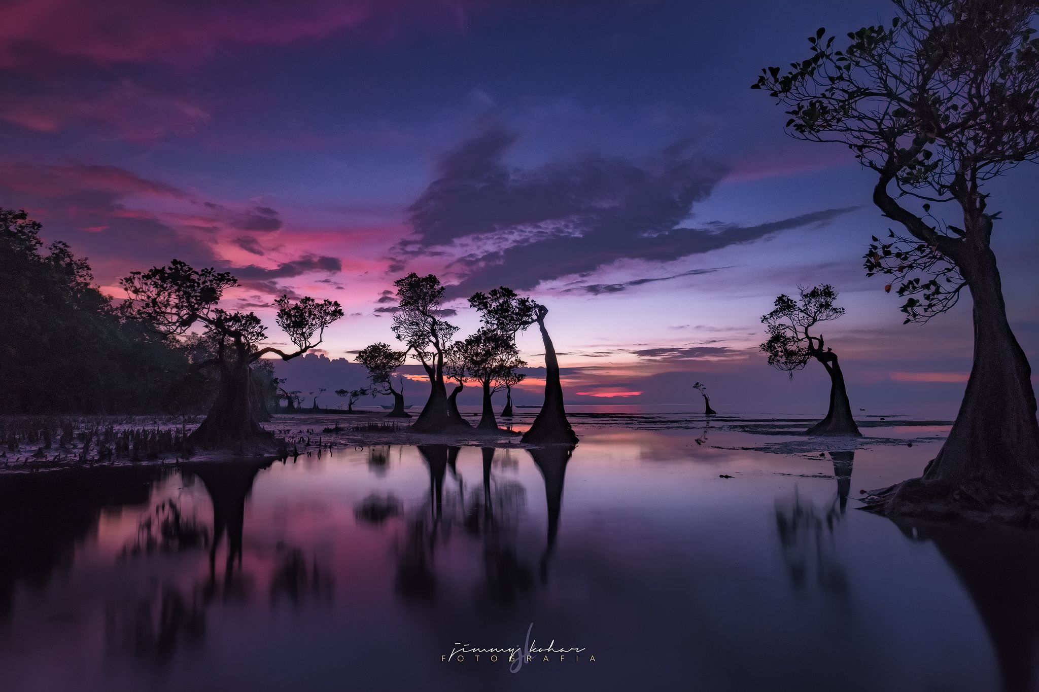 Mangrove Trees of Walakiri Beach, Indonesia