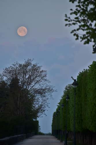 Moon walk in parc de blossac