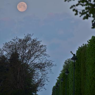 Moon walk in parc de blossac, France