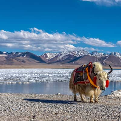 Namtso Lake, China