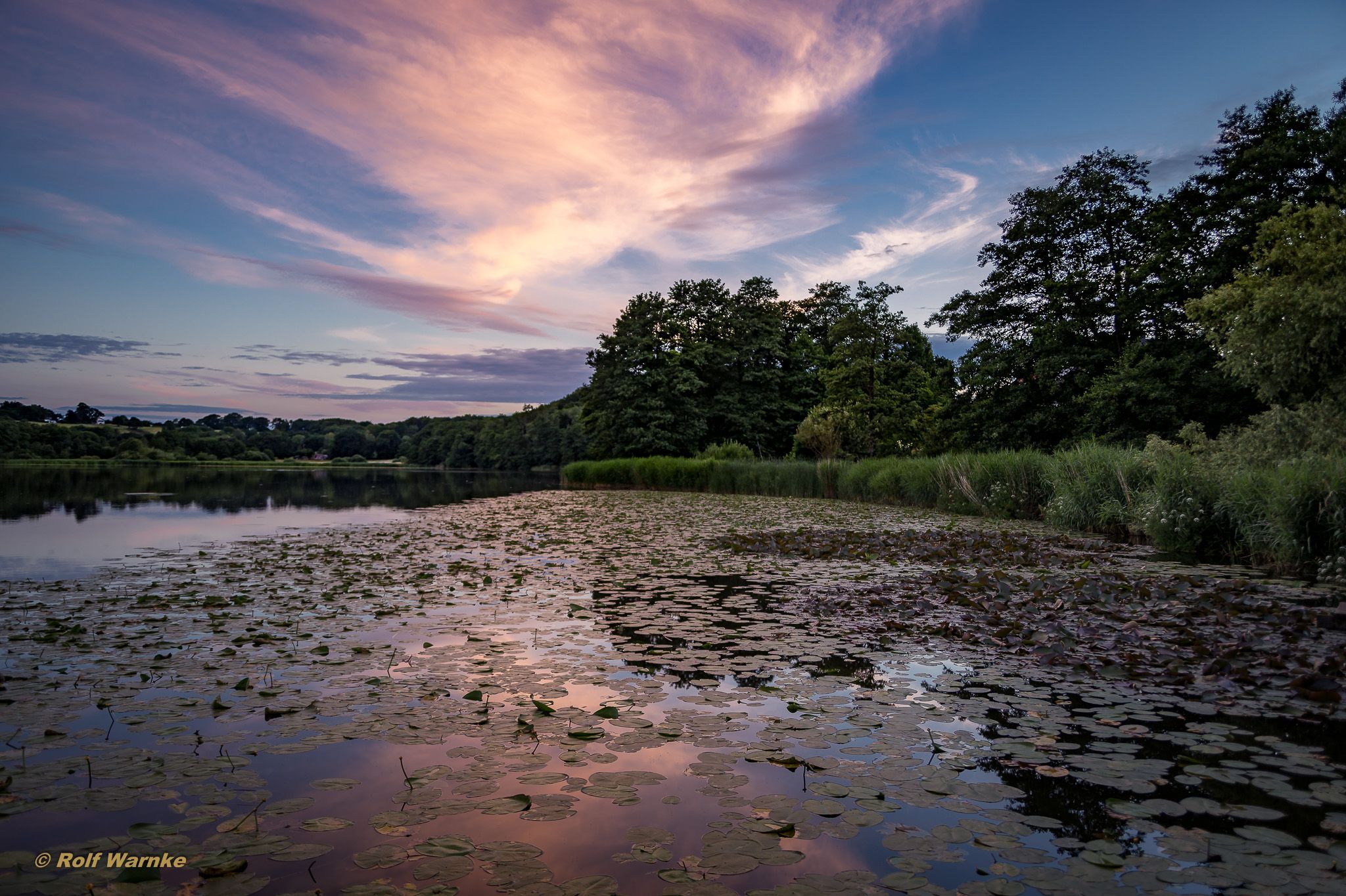 Niehuuser See, Germany