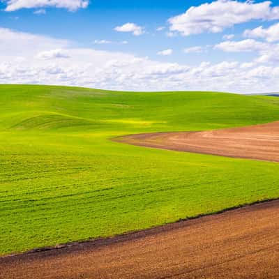 Palouse Field, USA