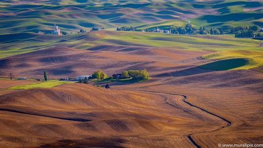Palouse from Road to the top of Steptoe Butte