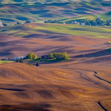 Palouse from Road to the top of Steptoe Butte, USA