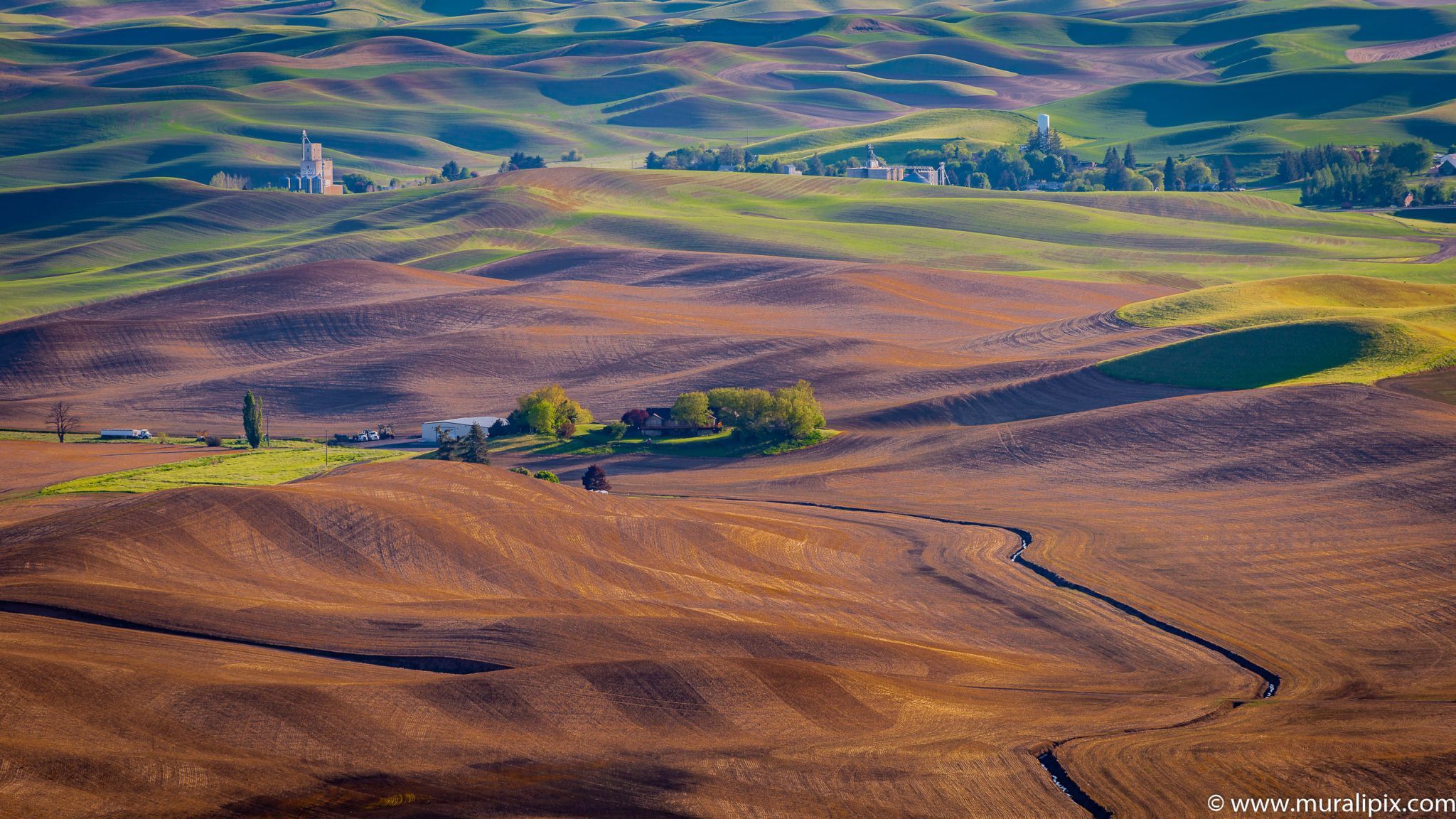 Palouse from Road to the top of Steptoe Butte, USA