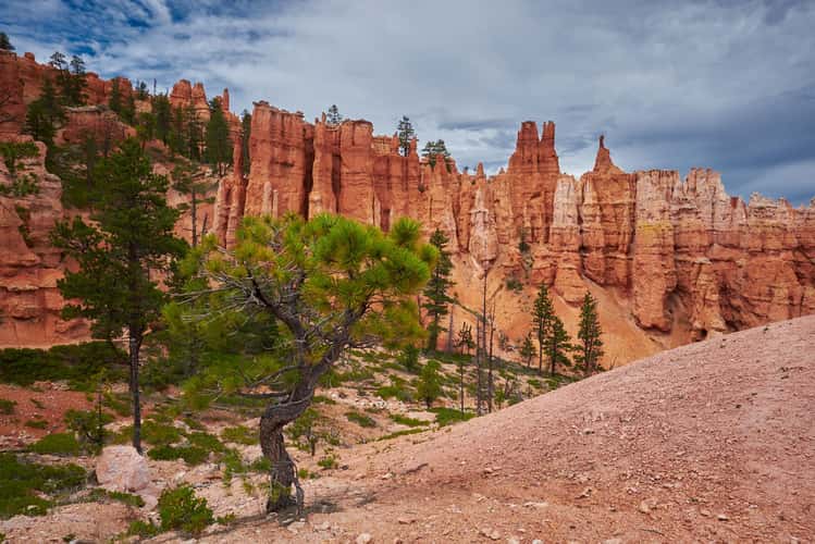Peekaboo Trail, Bryce Canyon