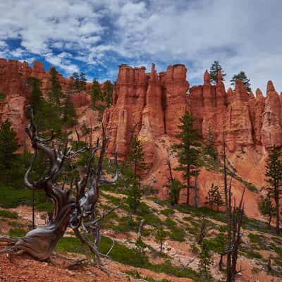 Peekaboo Trail, Bryce Canyon, USA