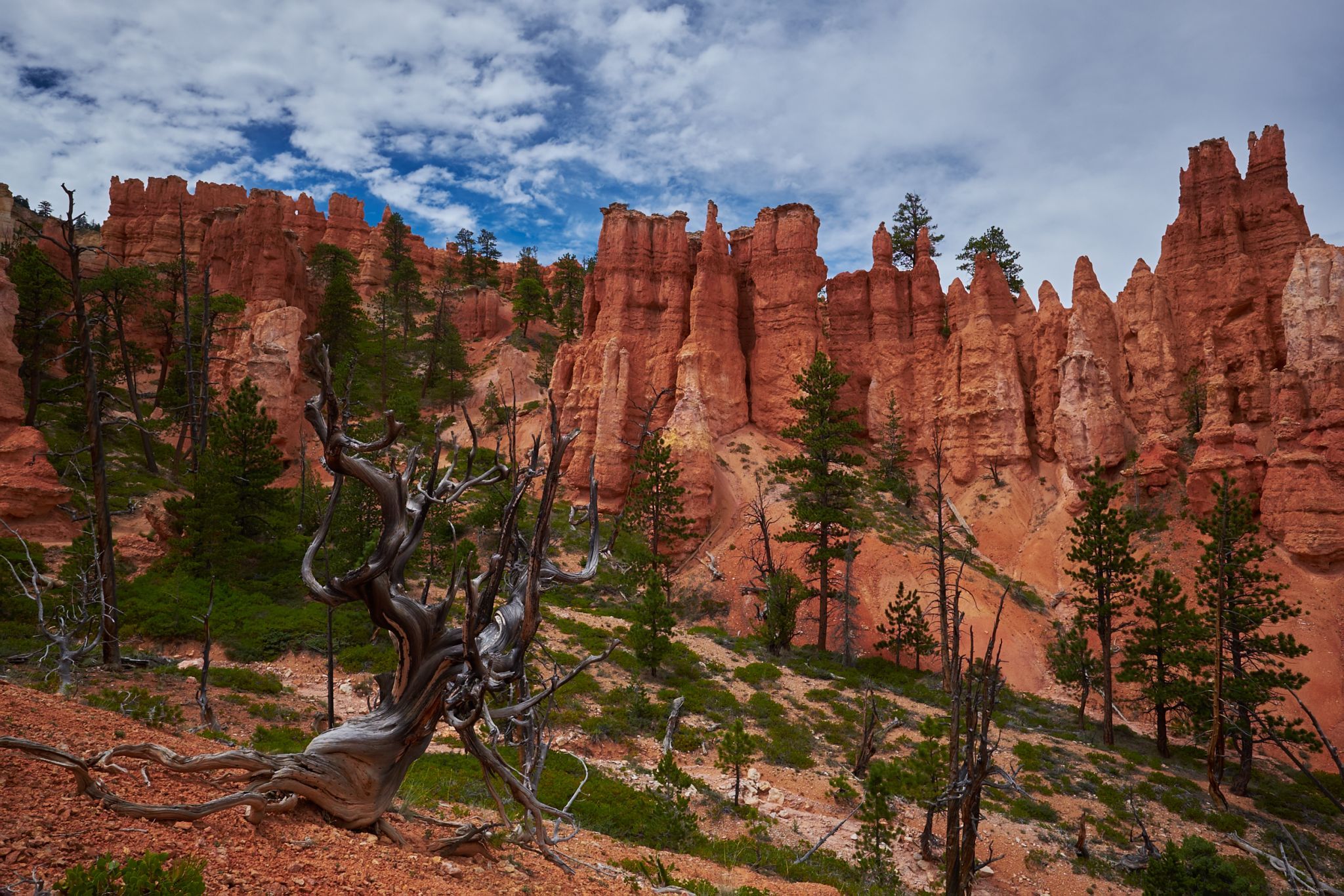 Peekaboo Trail, Bryce Canyon, USA