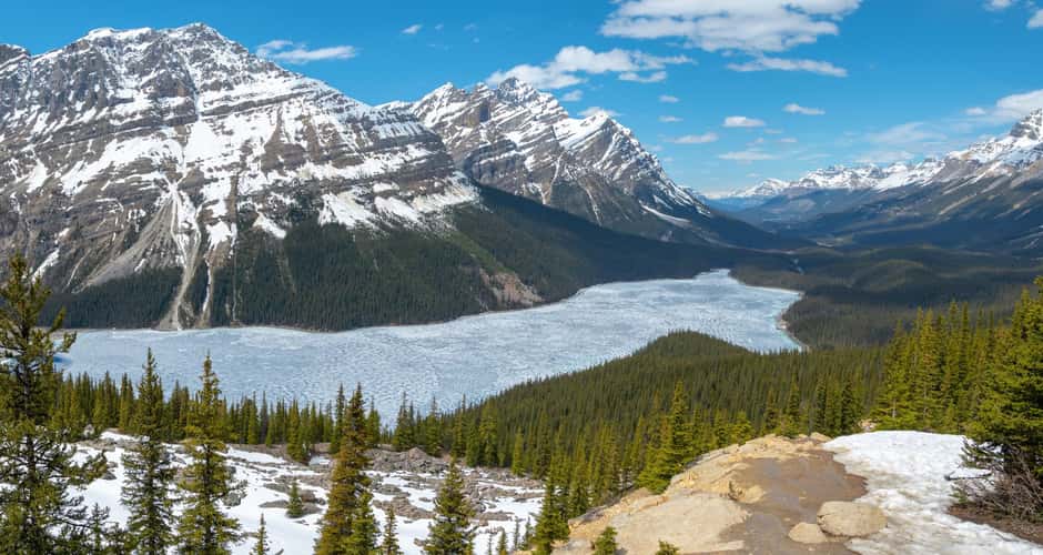 Peyto Lake Overview from Bow Summit