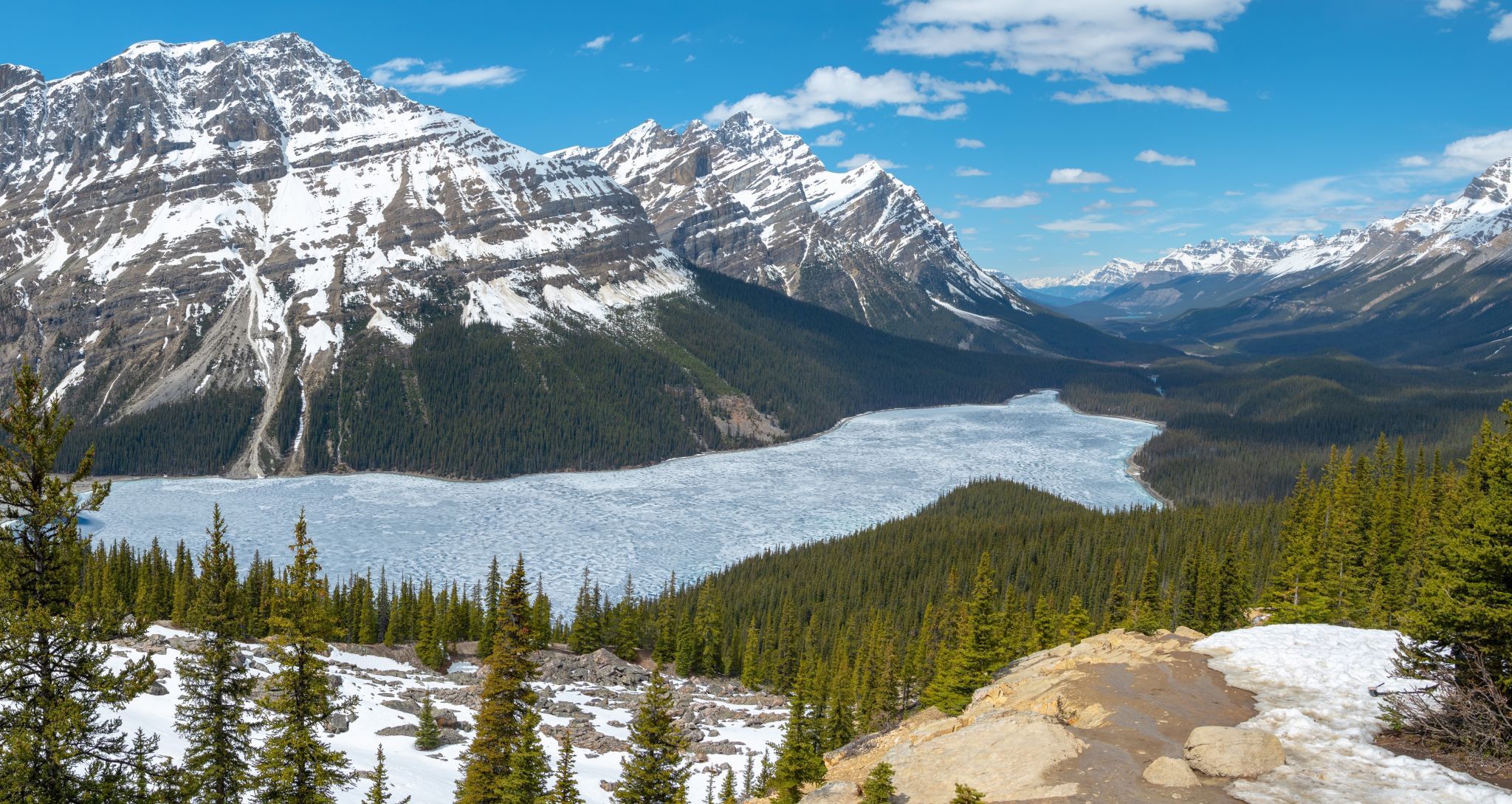 Peyto Lake Overview from Bow Summit, Canada