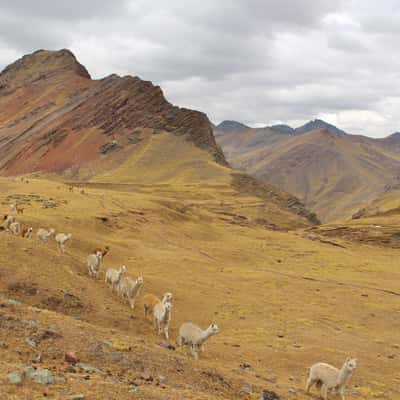 Rainbow Mountain, Peru