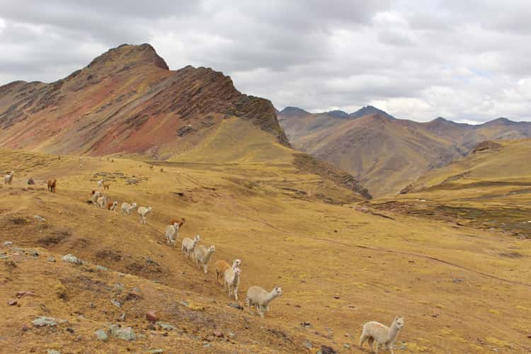 Rainbow Mountain