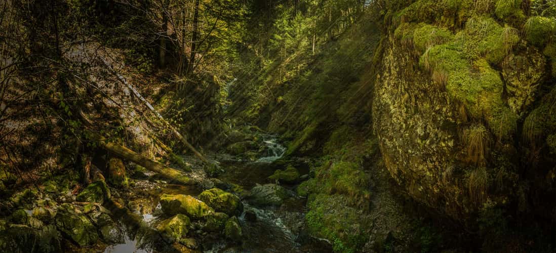 Ravennaschlucht, Black Forest