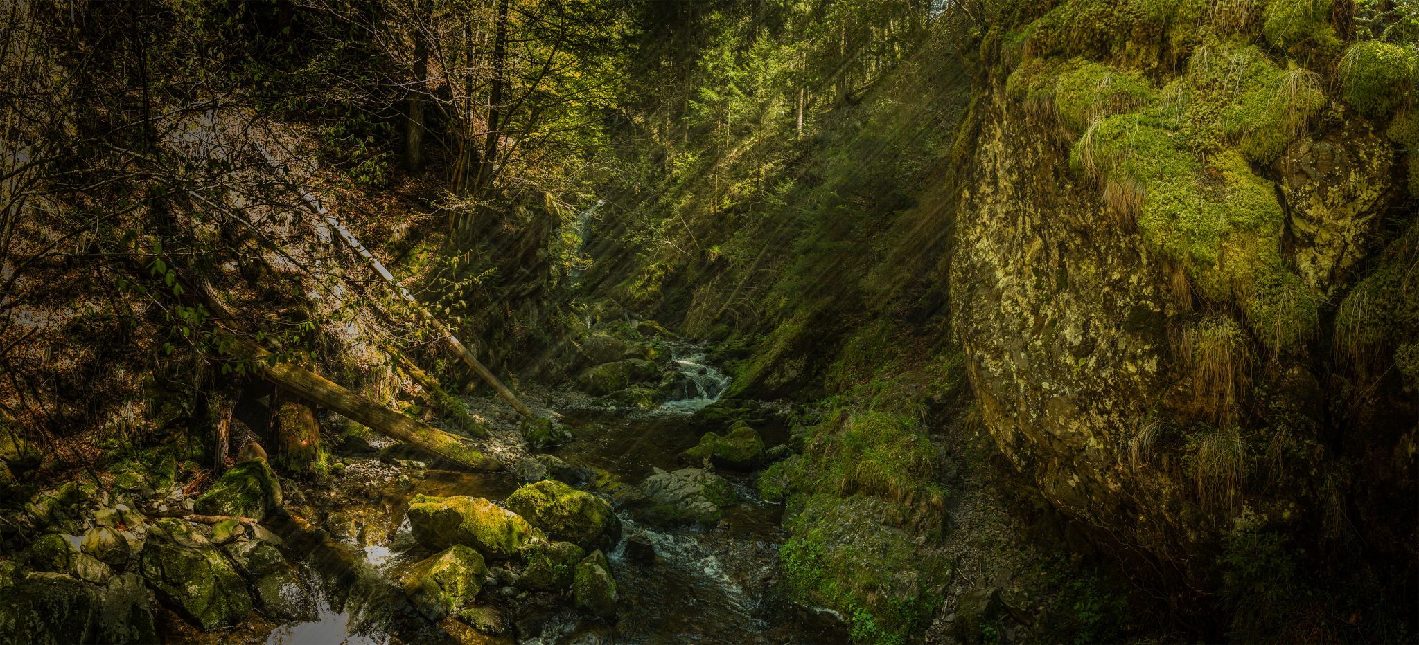 Ravennaschlucht, Black Forest, Germany