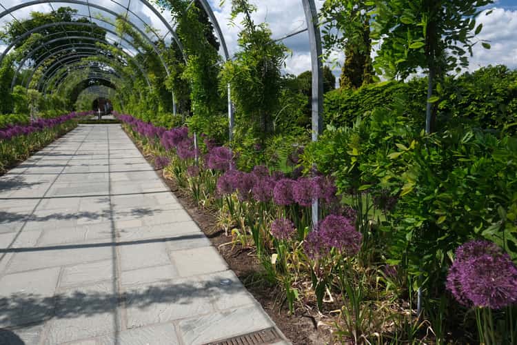 RHS Wisley