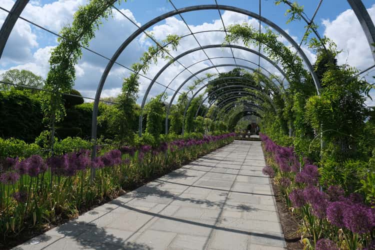 RHS Wisley