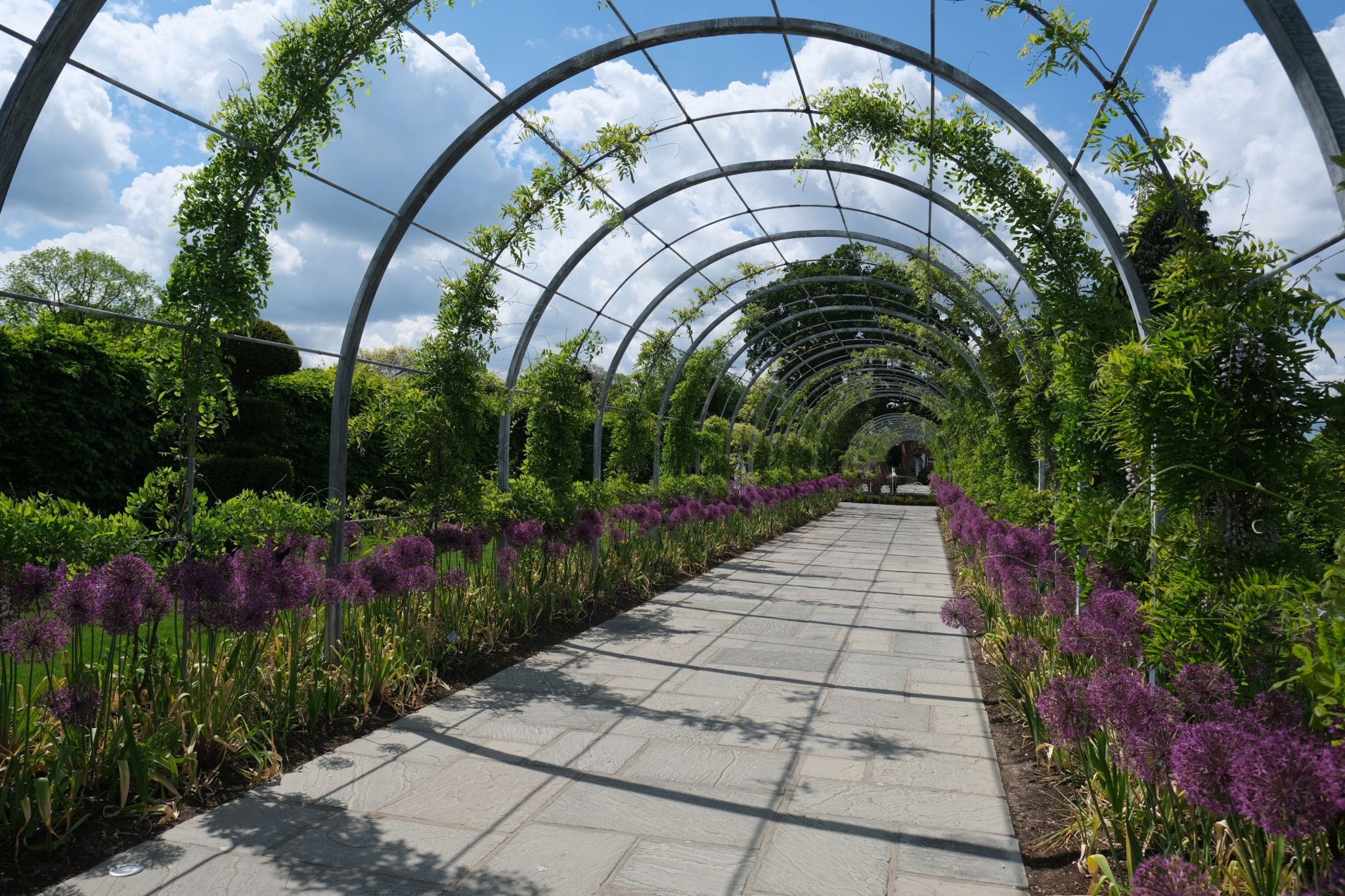 RHS Wisley, United Kingdom