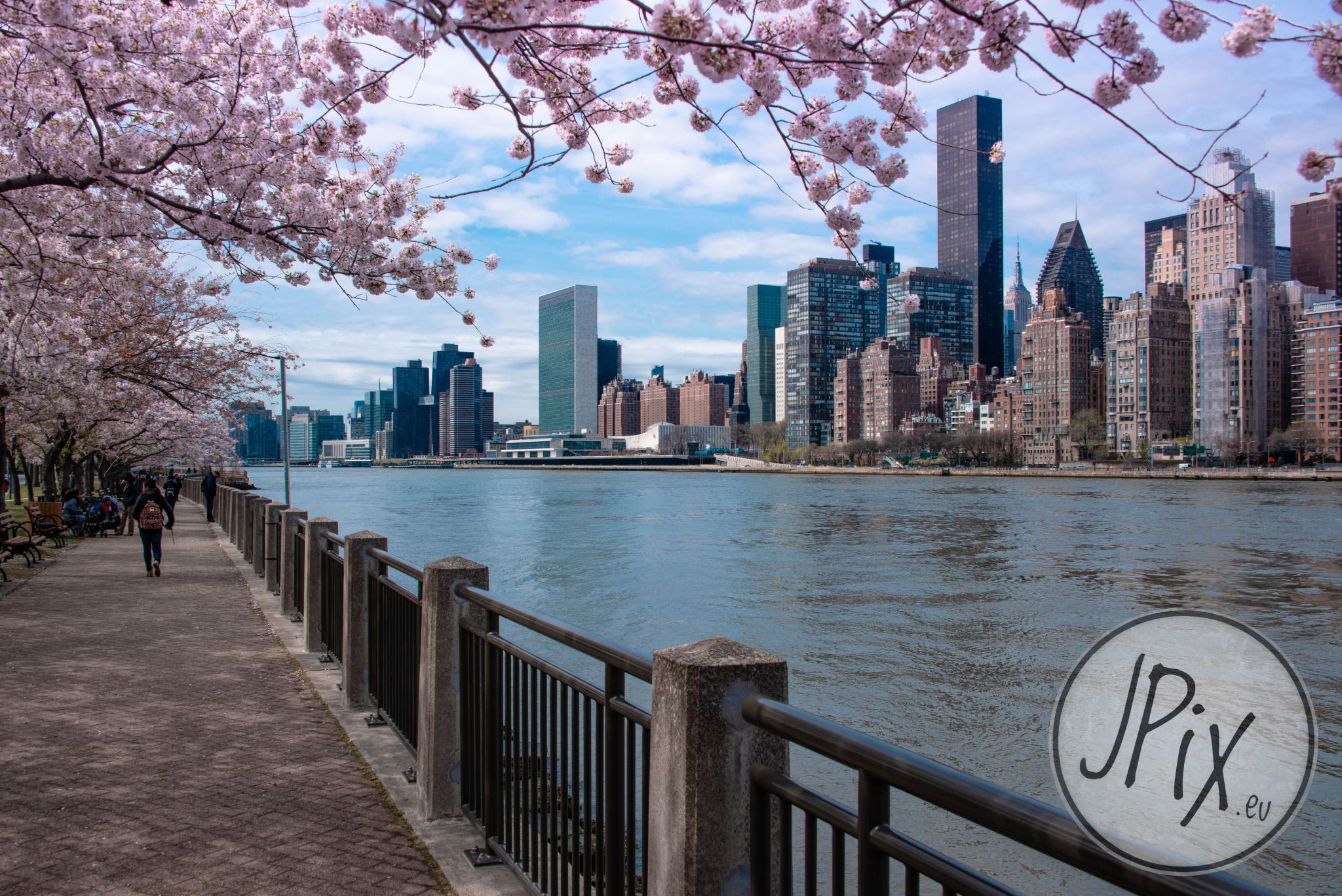 Roosevelt Island at Cherry Blossom, USA