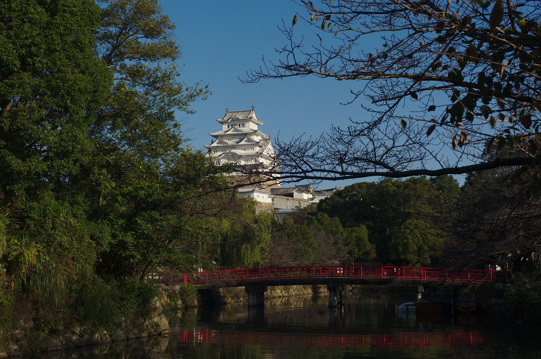 Sakura view of Himeji-jo, Japan