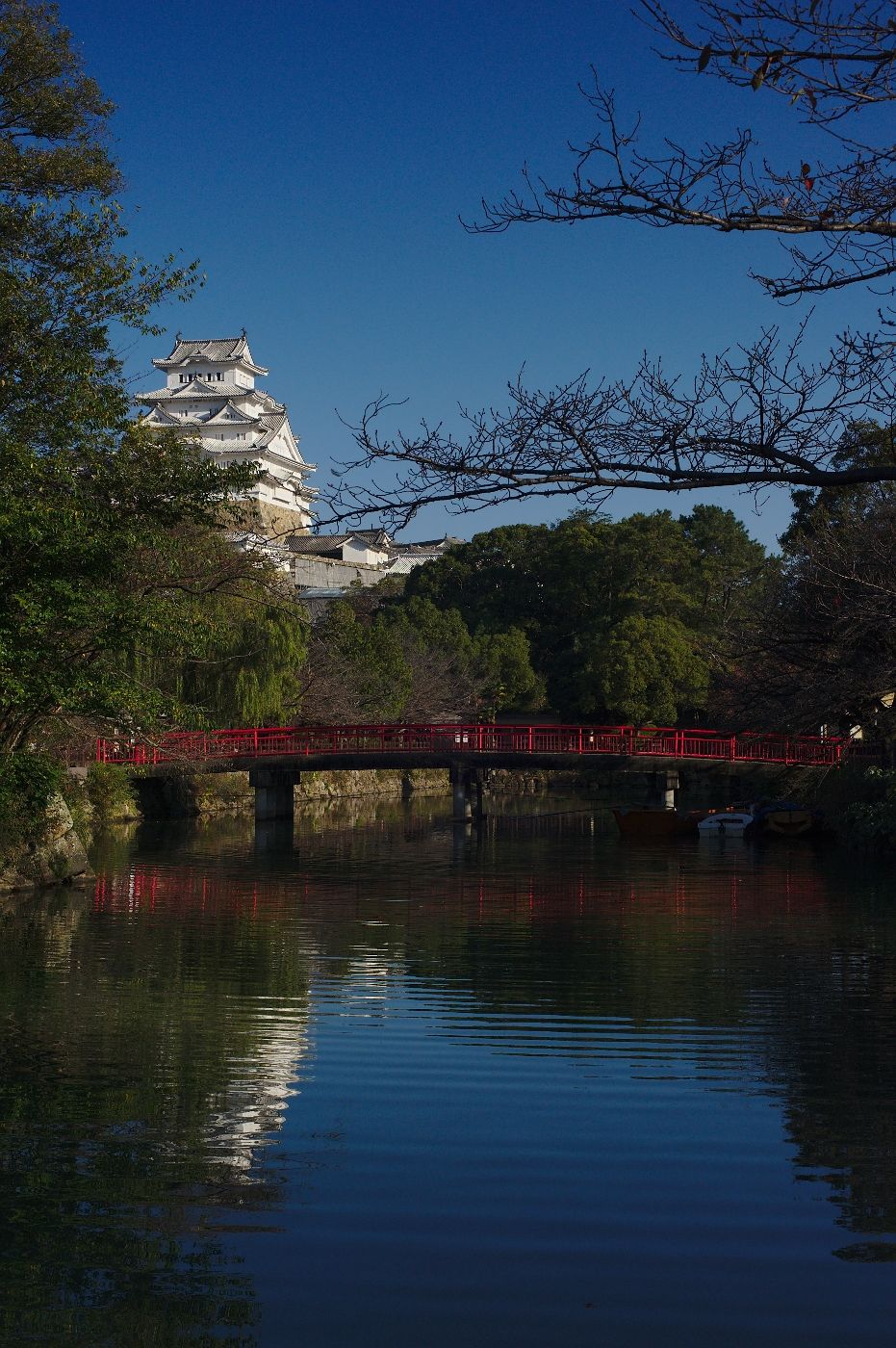 Sakura view of Himeji-jo, Japan