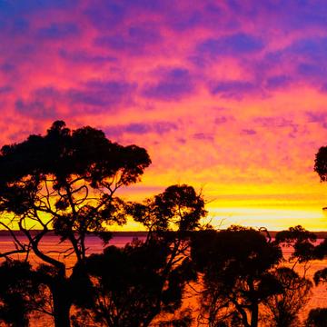 Sunrise on the American River, Australia