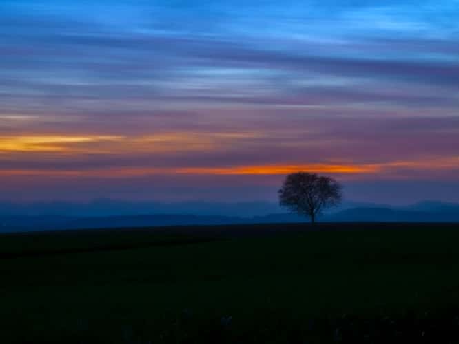 sunrise@spring