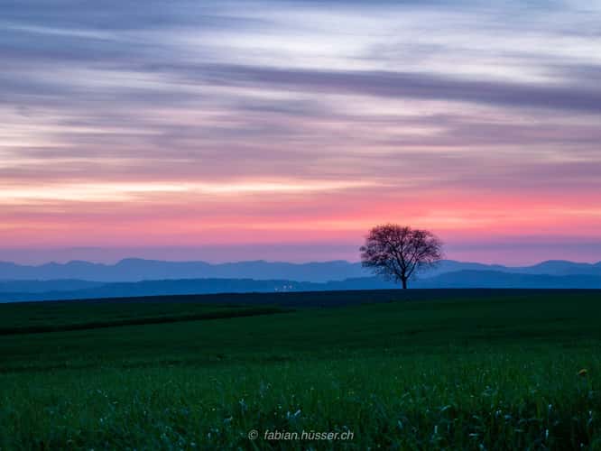 sunrise@spring