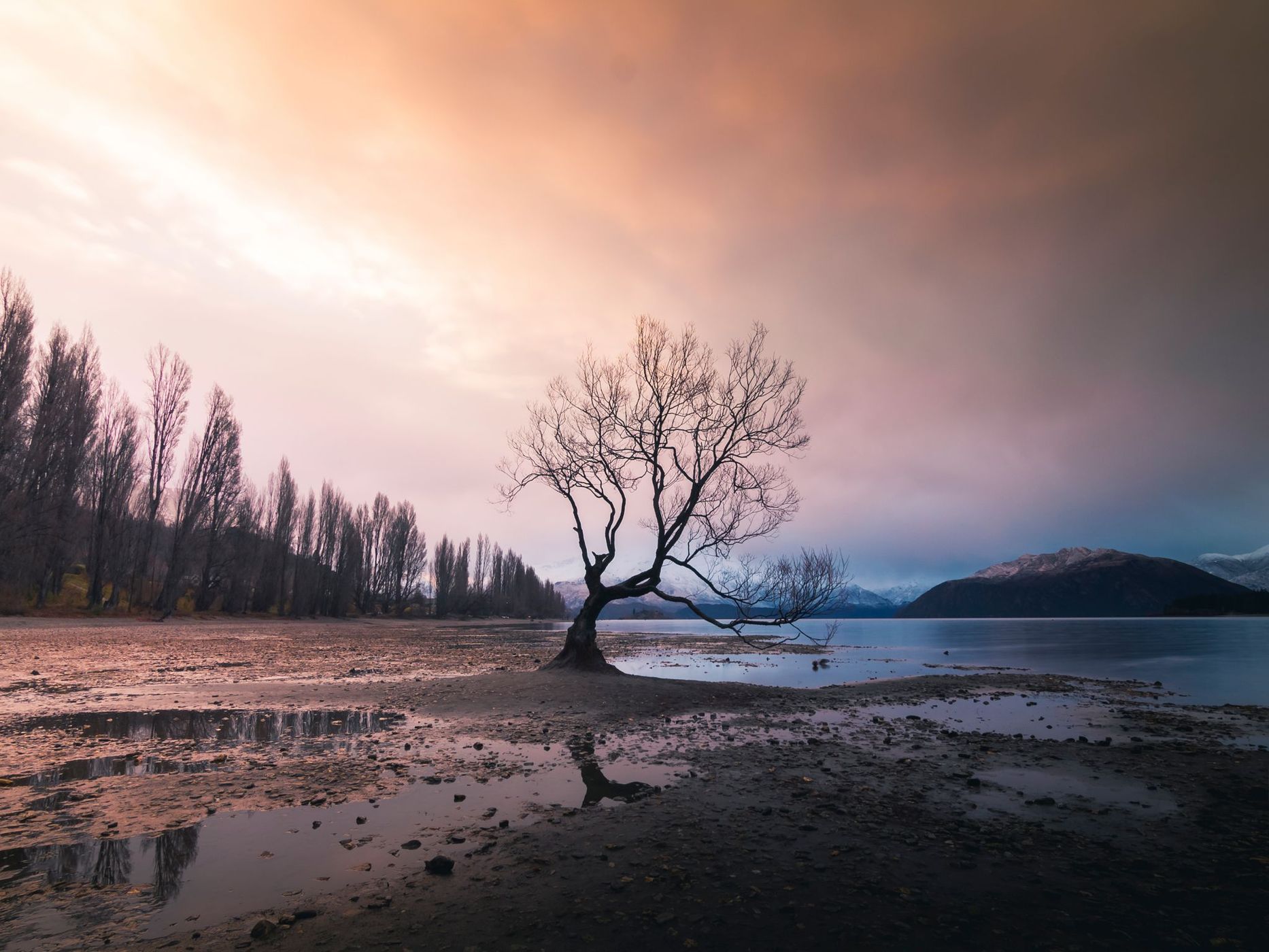 Lake Wanaka - The lonely Tree, New Zealand