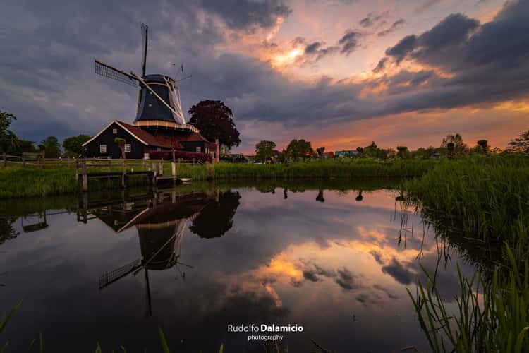 The Dutch Like Mills