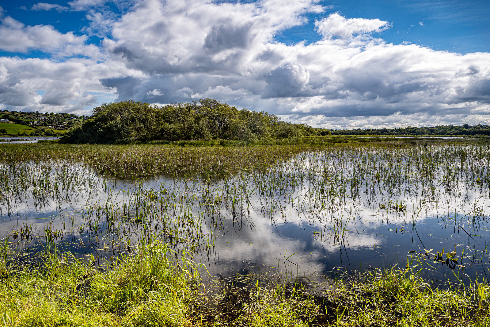 The Lee Valley, Ireland
