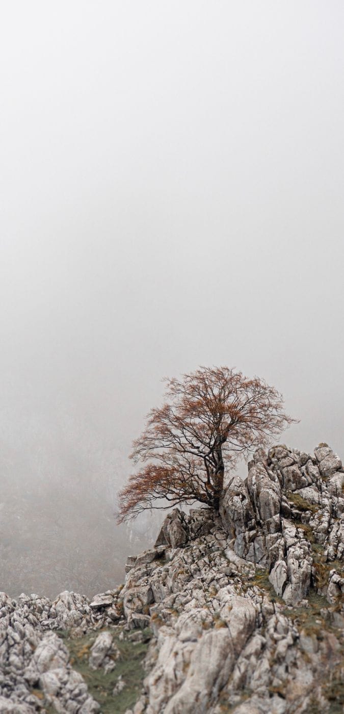 Tielve, Spain
