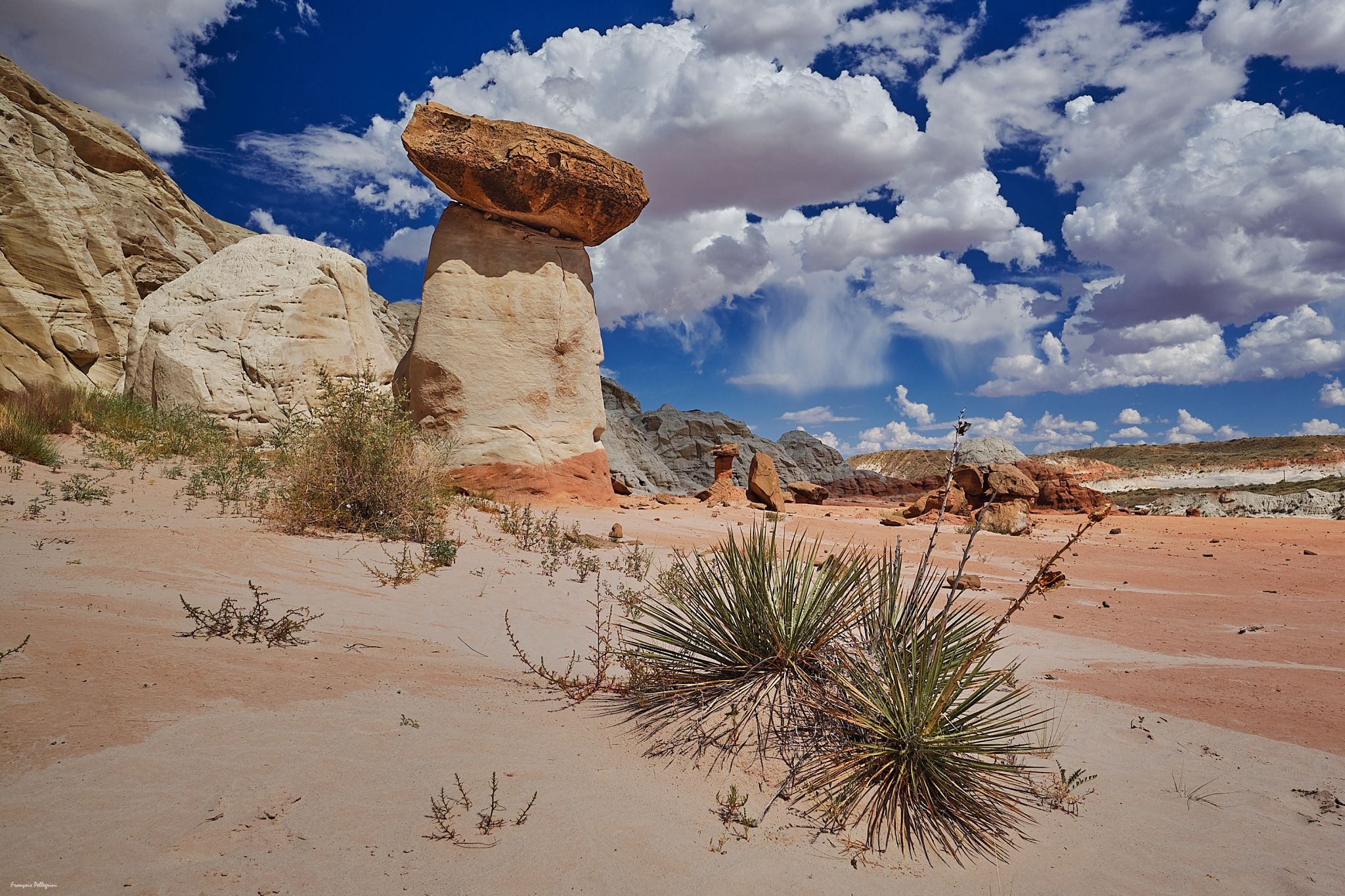 Toadstool Hoodoos, USA