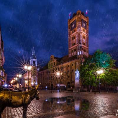 Torun Bronze Donkey, Poland