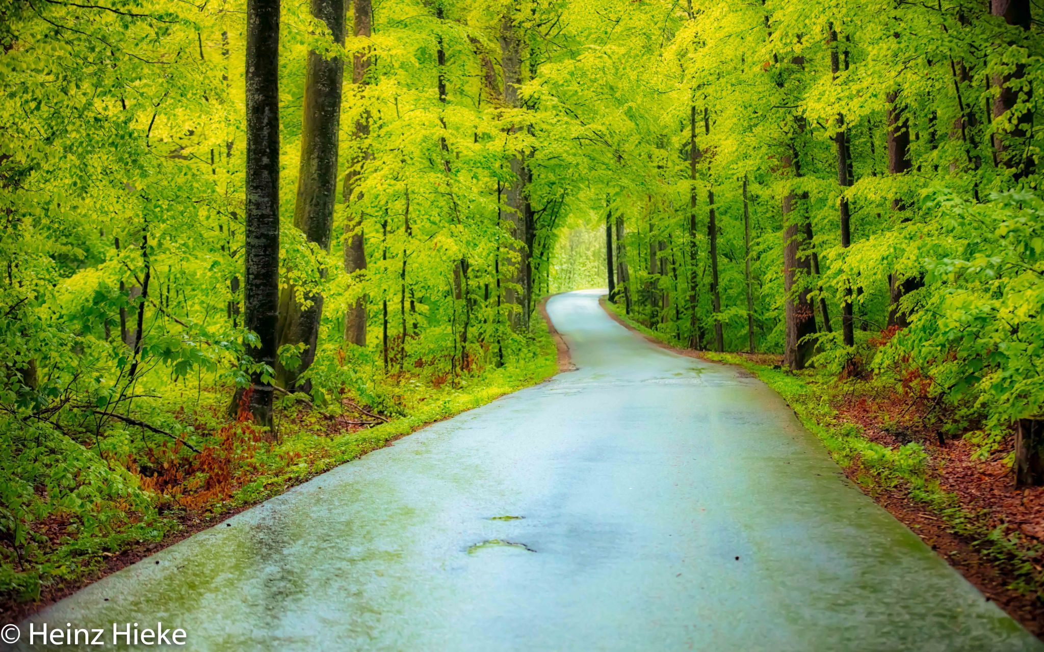 Wolfsbergstrasse, Switzerland