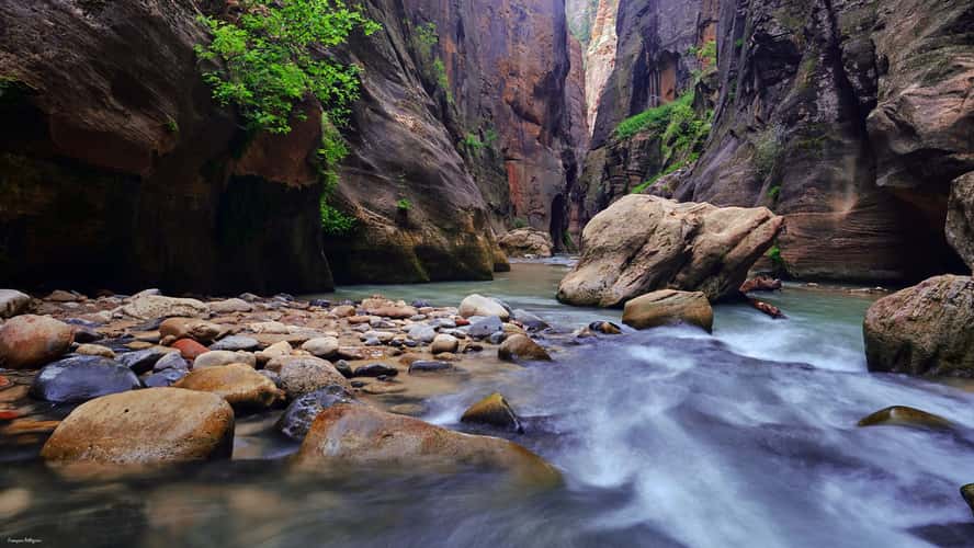 Zion Narrows