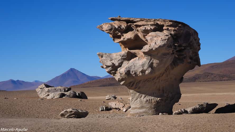 Arbol de Piedra (Rock tree)