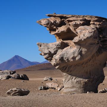 Arbol de Piedra (Rock tree), Bolivia