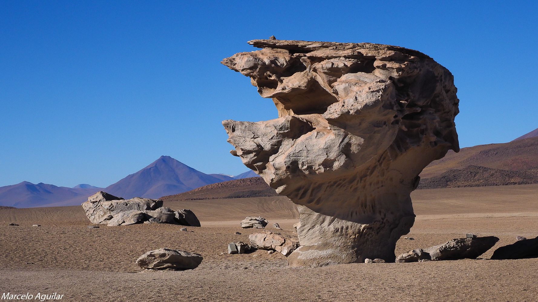 Arbol de Piedra (Rock tree), Bolivia