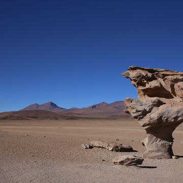 Arbol de Pietra (Stone Tree), Bolivia