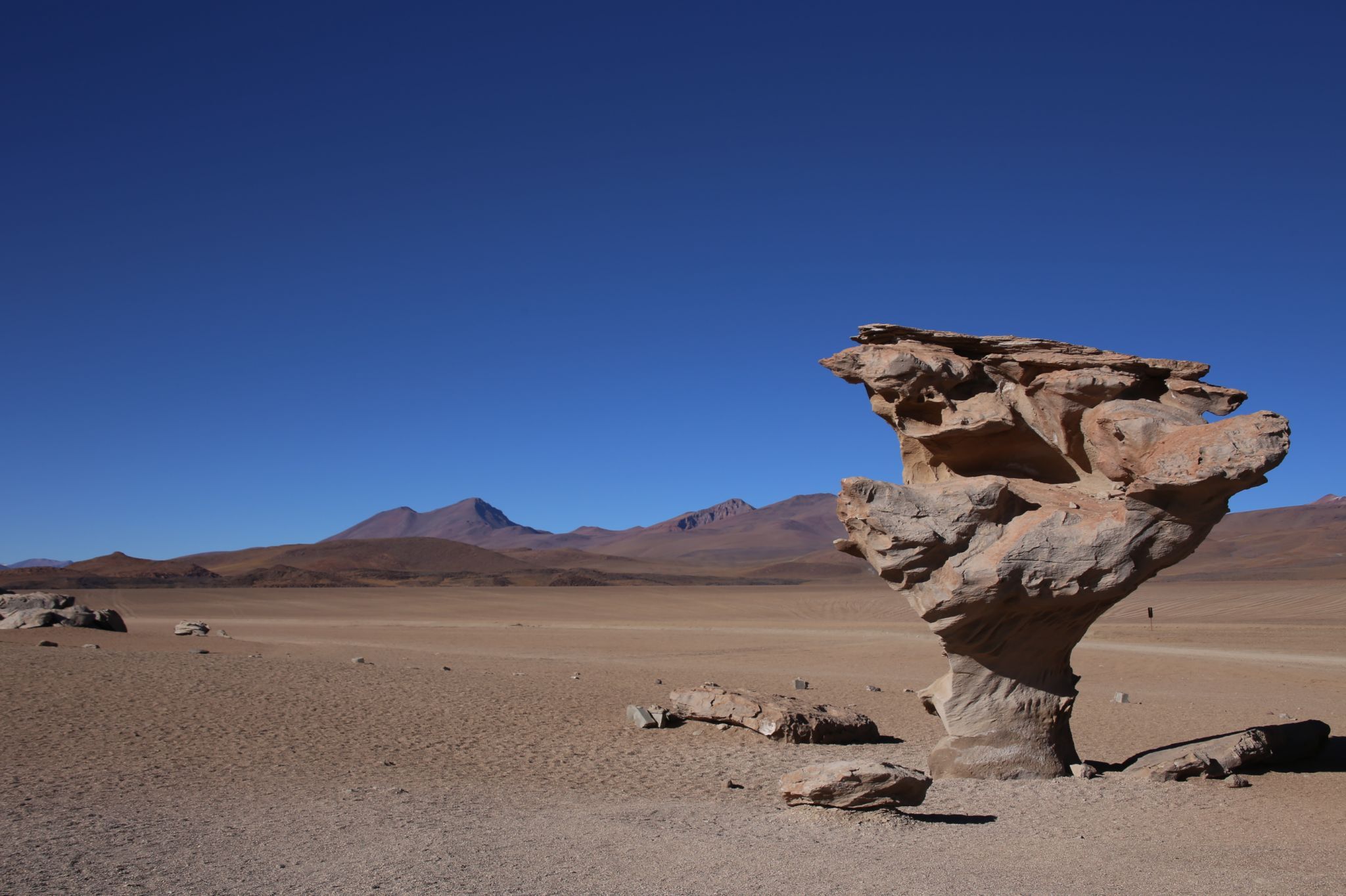Arbol de Pietra (Stone Tree), Bolivia